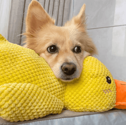 PatiMood Sarı Ördek Köpek Oyuncağı – Yumuşak Peluş & Sakinleştirici.